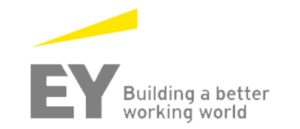 Ernst Young Italia