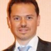 Vincent Blauwblomme