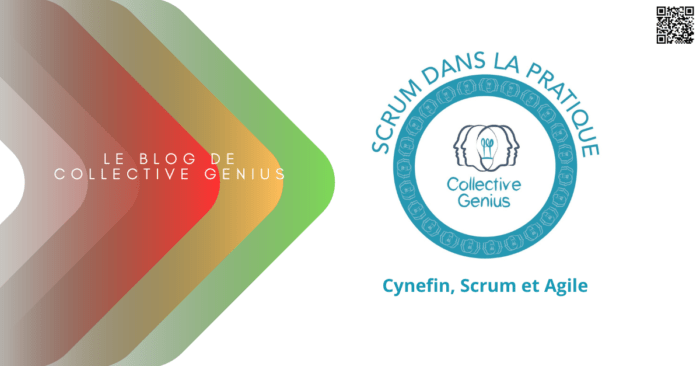 Cynefin, Scrum et Agile
